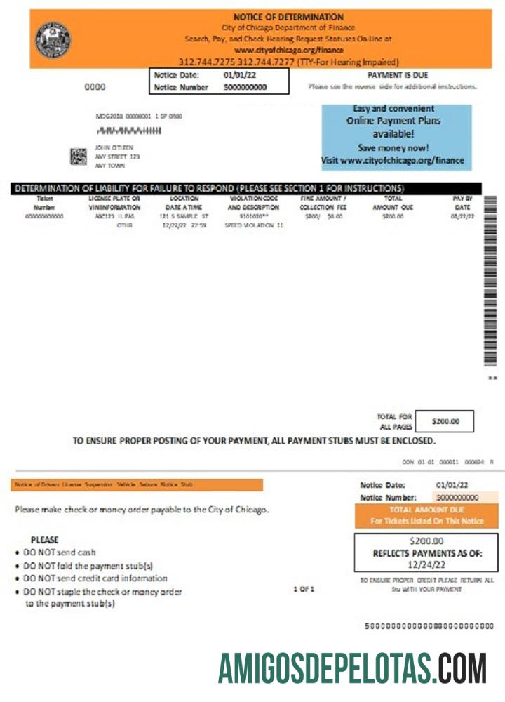Aviso de determinação dos EUA Chicago exemplo